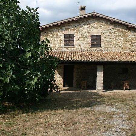 Agriturismo Colle Del Sole San Martino in Colle  Extérieur photo